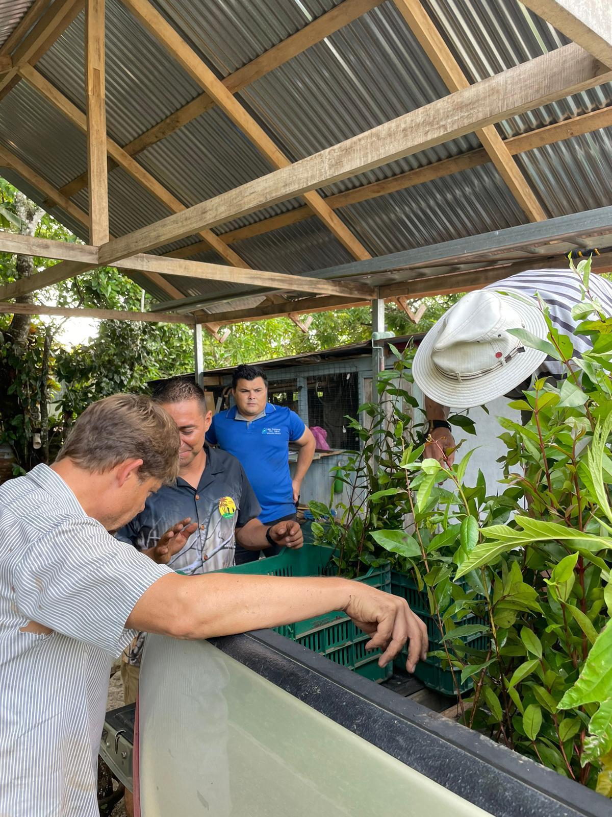 Innovatives Medienprojekt für Naturschutz HdM-Team entwickelt Regenwaldschutz-Konzept
